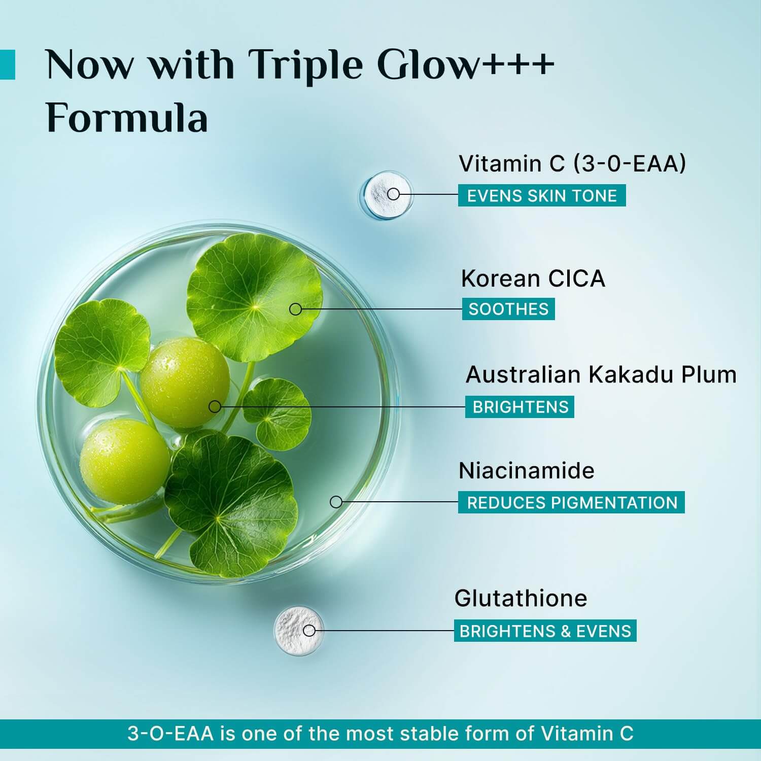 Pilgrim Vitamin C Serum – Brightening & Dark Spot Correcting Face Serum, 30 ml