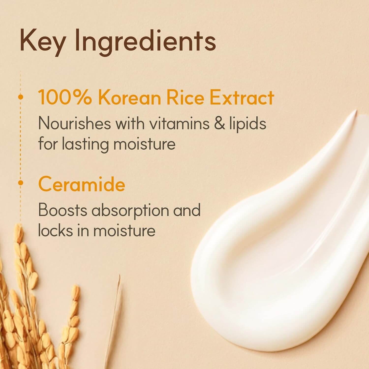 The Face Shop Rice & Ceramide Cream – Brightening & Barrier Repair Moisturizer, 50 ml